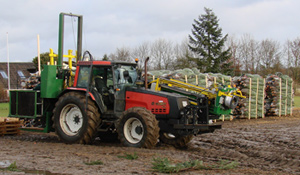 brazi de craciun pregatiti pentru livrare